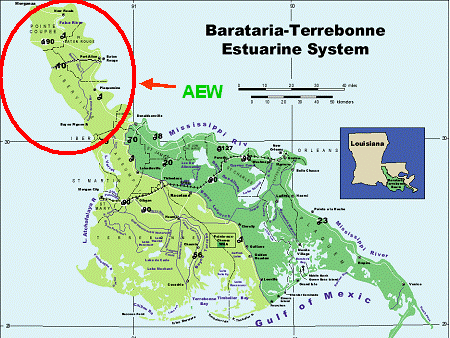 Barataria-Terrebonne National Estuary