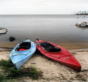 kayaks