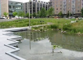 Portland, Oregon pond located in a park