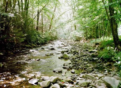 Pocono Creek