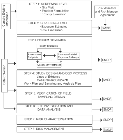 Diagram of Ecological Risk Assessment 8-step process