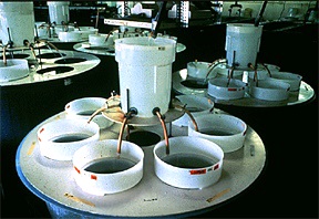 Photograph of flow-through laboratory system