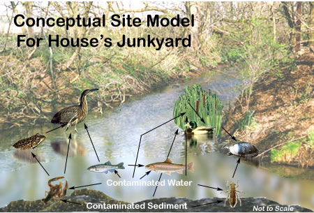 conceptual site model for House's Junkyard site