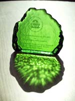 award2009b