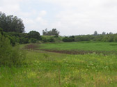 Lower Carneros Creek Wetland Restoration