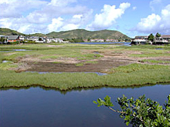 Residents along the Hanalei River will have Cesspools replaced with Septic Systems.