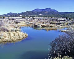 nutrisio creek watershed