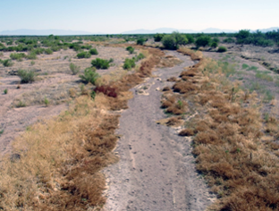 North DOWNSTREAM of Water Flow