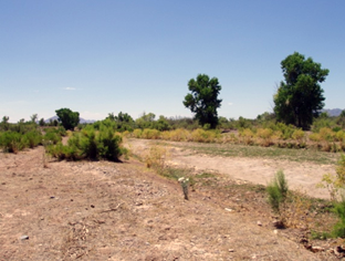 South DOWNSTREAM of Water Flow