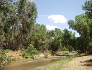 South WITH Water Flow