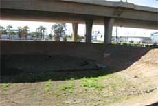 Photo shows catch basin with fiber roll BMPs implemented near salt storage shed and loading area.