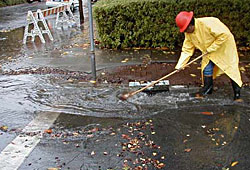 Photo of: clogged stormwater drain