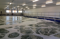 Success story: Former Consea Aquaculture and Historic Cannery - Eastport, ME