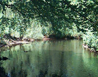 Woonasquatucket River