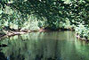 photo of Woonasquatucket River