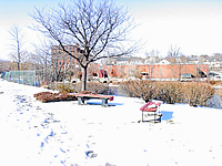 Stultz/Foye Property - Before
