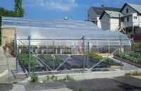 Success story: South End Greenhouses – Waterbury, CT