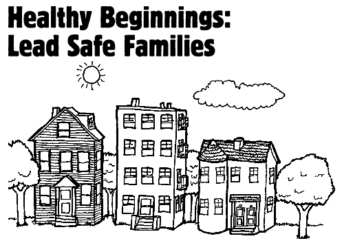 Healthy Beginnings: Lead Safe Families