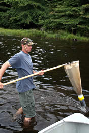 Photo: Collecting a Benthic Invertebrate Sample