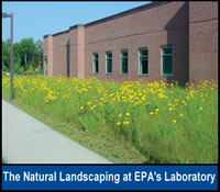 Photo of the natural landscaping at EPA's laboratory.