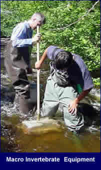 Click for larger image of macro invertebrate collection.