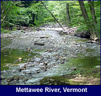 Photo of the Mettawee River in Vermont