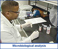 Photo of a microbiological analysis procedure.