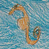 Thumbnail Image: People and Animals Share the Earth, Keep It Clean