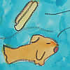 Thumbnail Image: Save the Fish! Don't Pollute!