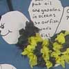 Thumbnail Image: Keep the World 'Bee-utiful!'