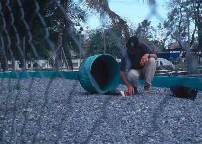 The photo shows a man kneeling on the gravel on top of a sand filter and looking at equipment exposed by the removed valve cover.