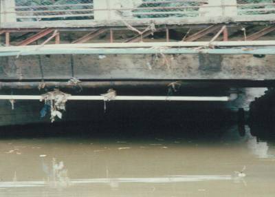The photo shows a potable water line suspended underneath a bridge that crosses the river.  Garbage is hanging from the water line.