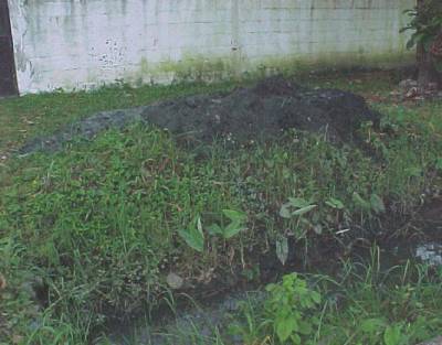 The photo shows septic sludge that has accumulated in one of the open ditches being cleaned out. 