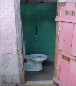 The photo shows a flush toilet through the open door of an out house. 
