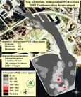 The map shows the interpolated PCB values in the top 1 foot (0-12 inches) of sediment in the River and Harbor. The legend identifies areas of specified concentration intervals.