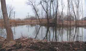 Photo of pond