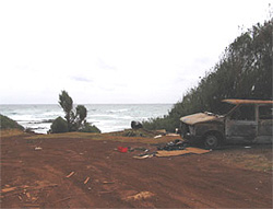 Green Building project house