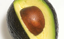avocado