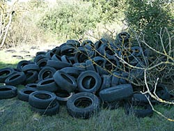 illegal tire dump
