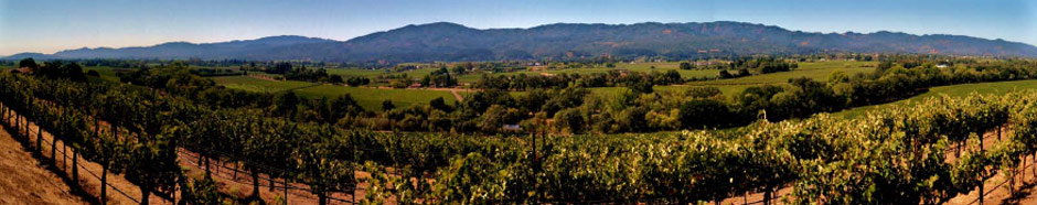 Panoramic view of the Napa Valley