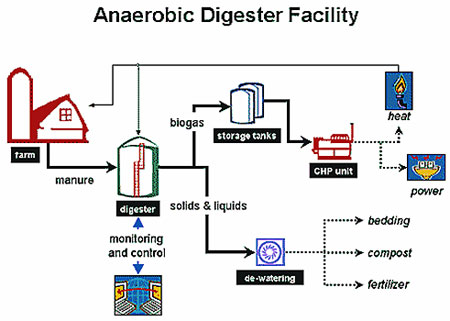 Graphic depicting an anaerobic digester facility. Farm manure is processed in the digester, producing solids and liquids suitable as soil enhancers, and biogases used in the production of heat and power.