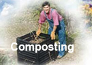 link to composting web page