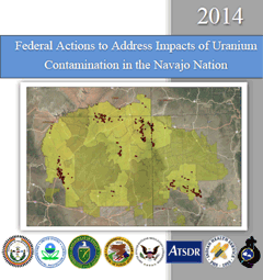 Image of the cover of 2014 Navajo Nation Five-Year Plan