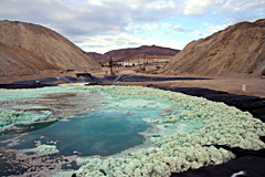 photo of leach pond with foaming looking substance on bright green surface