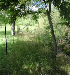 Valintine Cistern After Remediation