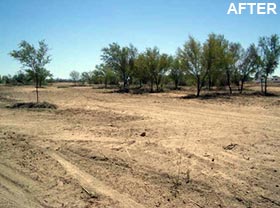 riparian restoration project