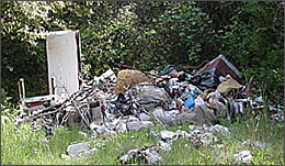 Photo of: The Berry Creek Rancheria cleaned up this illegal dump site.