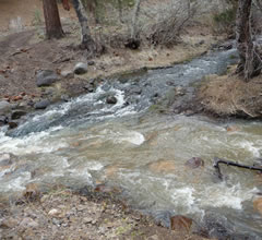 Leviathan Creek merging with a clean tributary three miles downstream of the mine