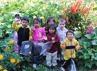 harvesting and replanting tribal garden