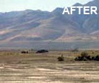 Photo of a Pyramid lake after cleanup.